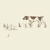 houndpicked
